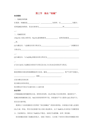 九年级化学 海水 制碱 知识梳理知识导学疑难突破 鲁教版试卷