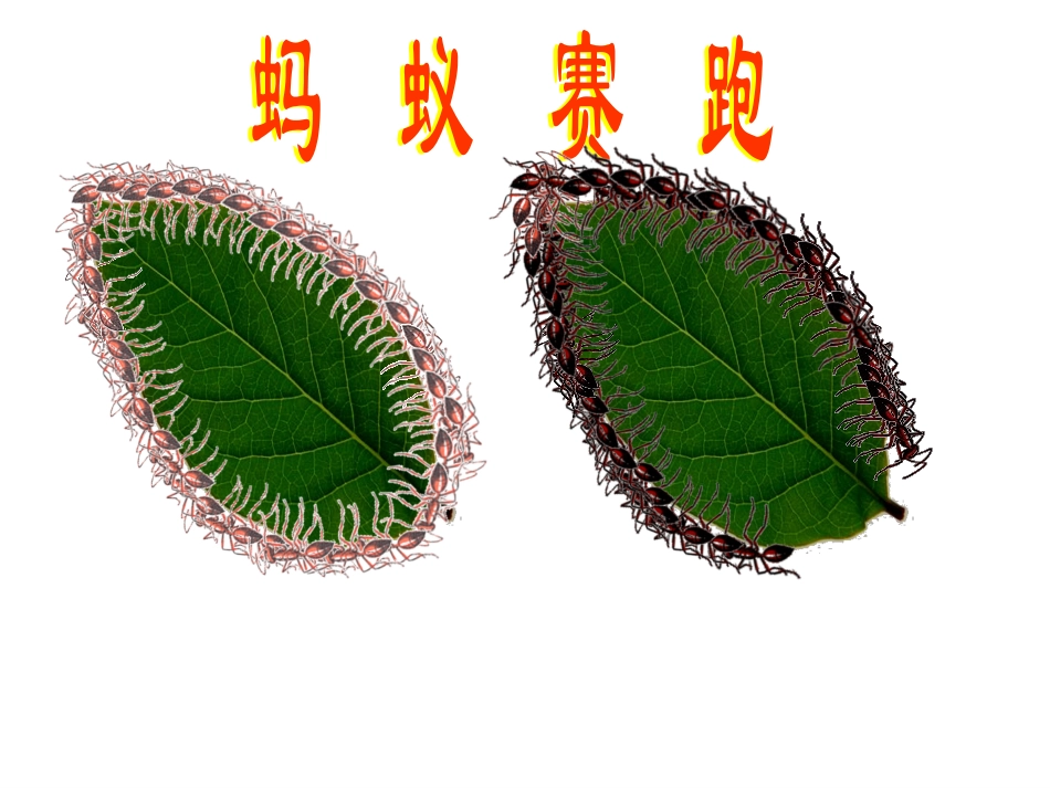 小学数学人教2011课标版三年级认识周长例3_第2页