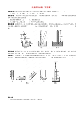 中考物理总复习 托里拆利实验试卷