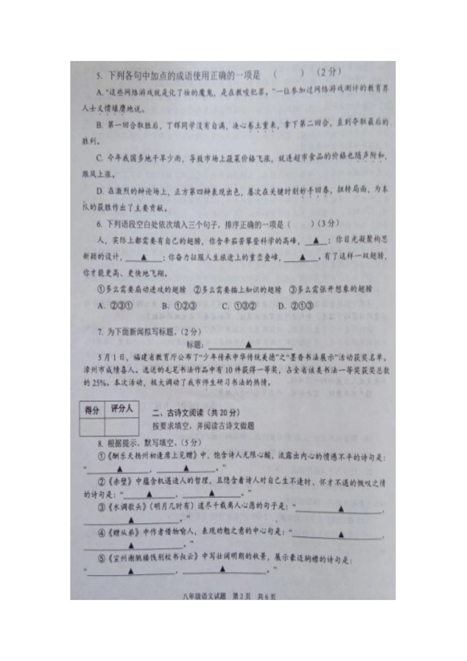 山东省微山县 八年级语文下学期期中试卷新人教版试卷_第2页
