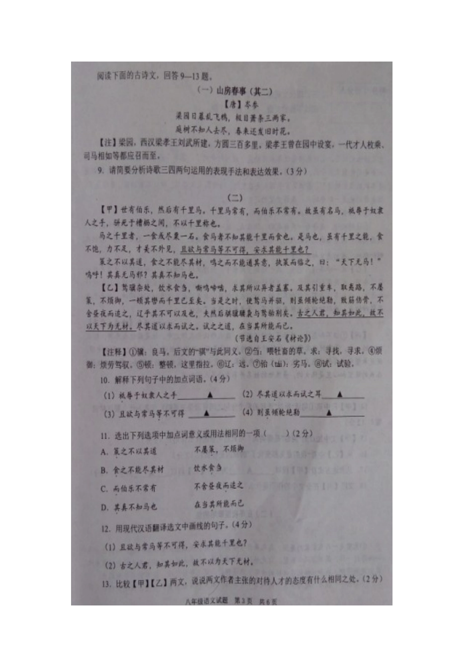 山东省微山县 八年级语文下学期期中试卷新人教版试卷_第3页