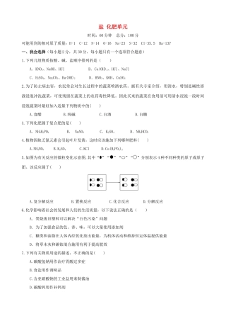 九年级化学下册 第十一单元 盐 化肥单元过关测试卷(新版)新人教版试卷