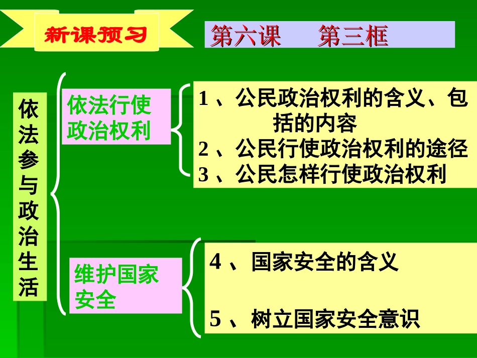 第六课第三框依法参与政治生活_第2页