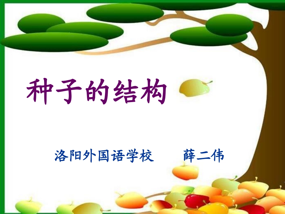 2.种子的结构_第1页
