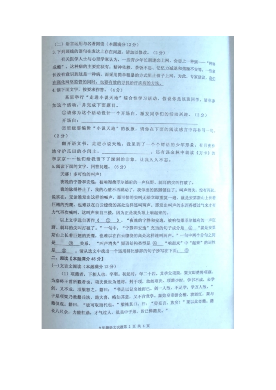 山东省胶州市九年级语文上学期期末试卷新人教版试卷_第2页