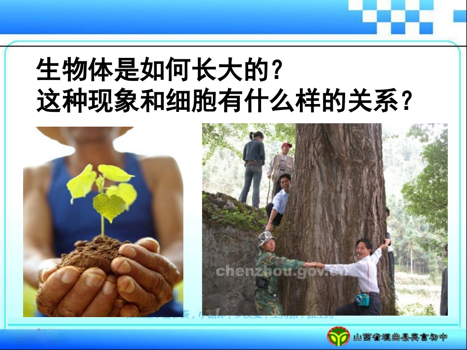 第三节细胞分裂与分化_第2页