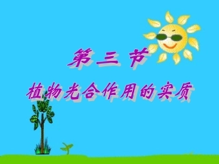 第三节植物光合作用的实质