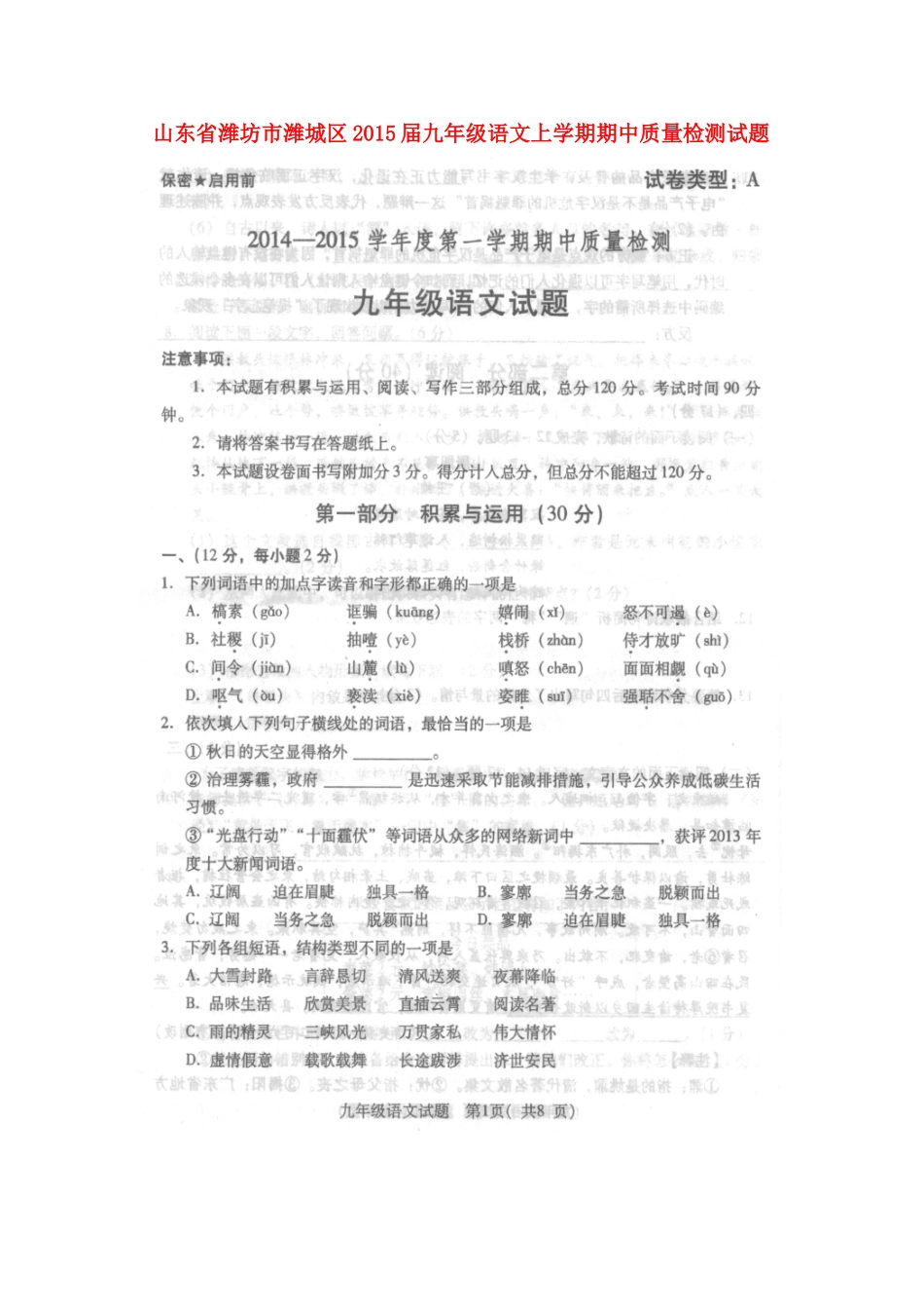 山东省潍坊市潍城区九年级语文上学期期中质量检测试卷新人教版试卷_第1页