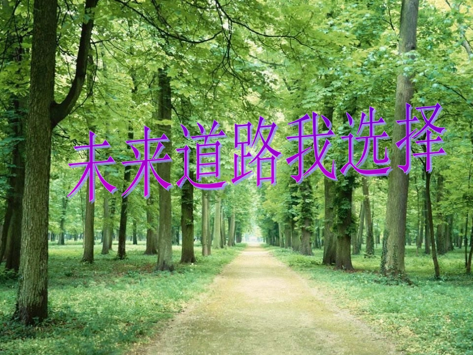 10.3未来道路我选择_第1页