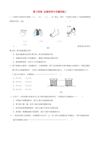 九年级物理 第十四章压强和浮力专题训练二 人教新课标版试卷