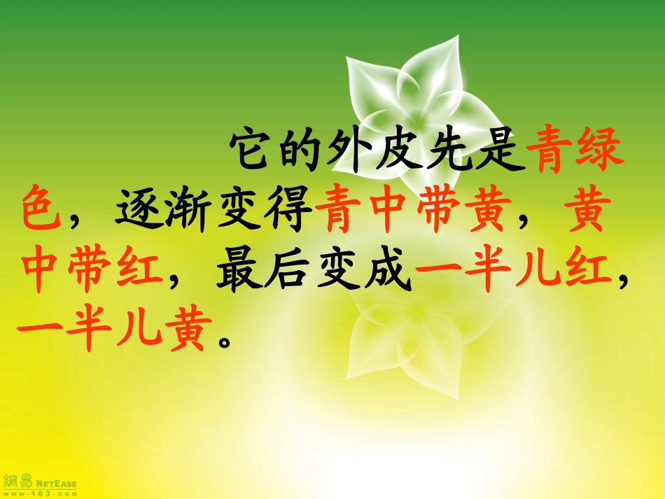 石榴-[恢复]_第3页