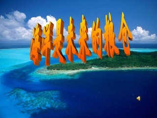 付静《海洋是未来的粮仓》