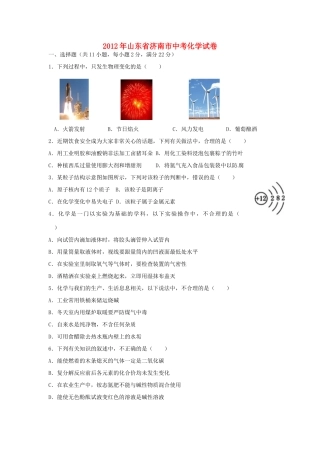 山东省济南市中考化学真题试卷试卷