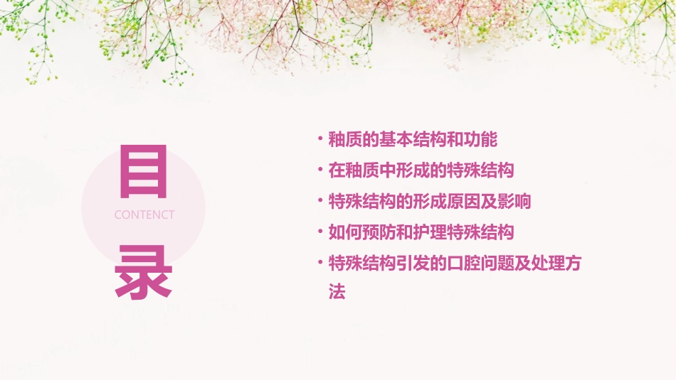 口腔组织病理学之在釉质中形成的特殊结构护理课件_第2页