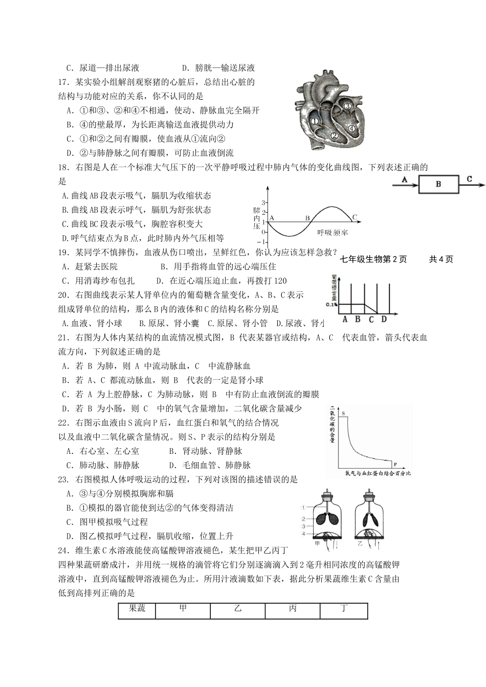 山东省东营市广饶县七年级生物下学期期中阶段检测试卷(五四制)试卷_第3页