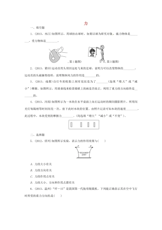 中考物理总复习 力专题考点训练(真题集锦) 新人教版试卷