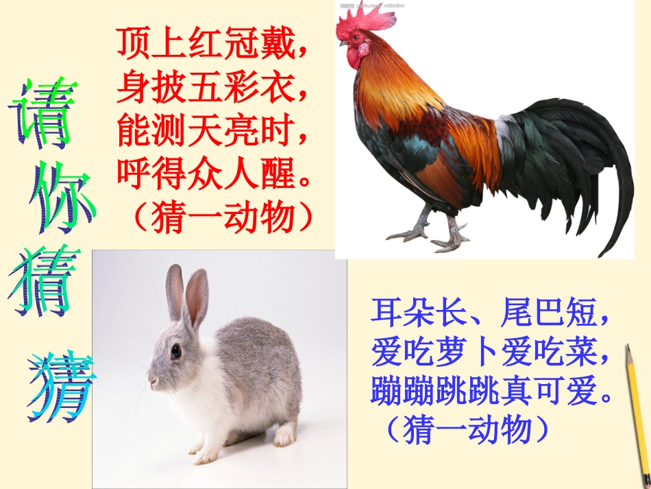 小学数学2011版本小学四年级鸡兔同笼--课件_第2页