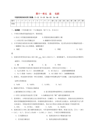 九年级化学下册 第十一单元 盐 化肥测试卷(新版)新人教版试卷