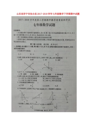 山东省济宁市鱼台县七年级数学下学期期中试卷新人教版试卷