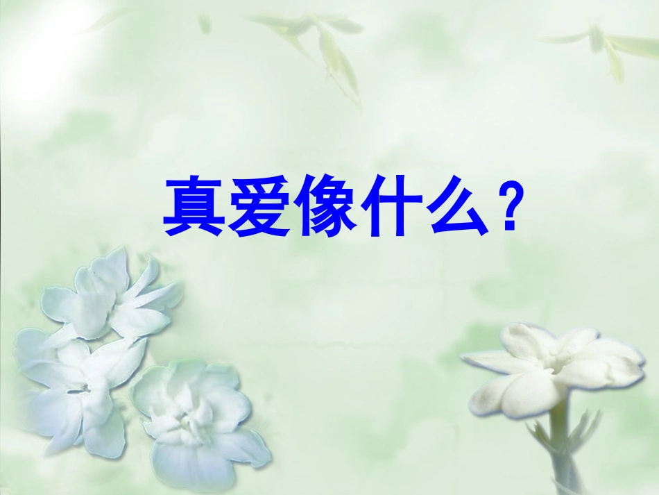 爱如茉莉PPT课件_第2页