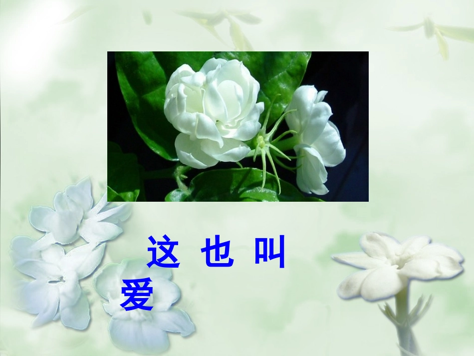 爱如茉莉PPT课件_第3页