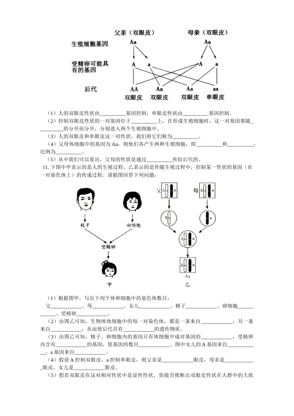 华东师大版初三生物第五章 第六章 第七章试卷_第3页