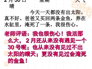 写作《说真话-抒真情》