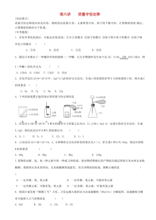 九年级化学复习 第六讲 质量守恒定律试卷