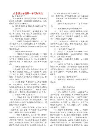 九年级政治 知识点归纳 鲁教版试卷