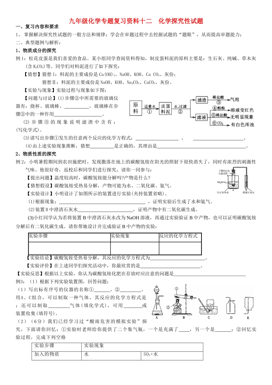 九年级化学专题复习资料十二 化学探究性试卷试卷_第1页
