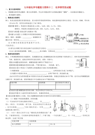 九年级化学专题复习资料十二 化学探究性试卷试卷