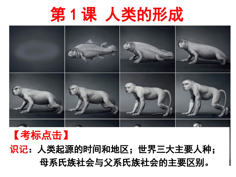 第1课-人类的形成-(3)_第2页