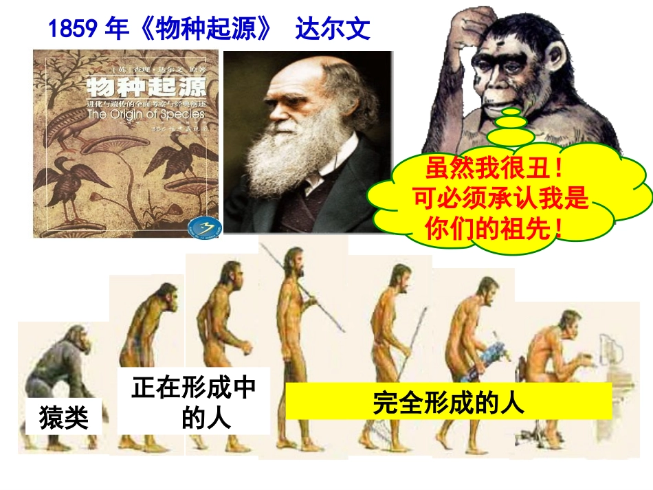 第1课-人类的形成-(3)_第3页