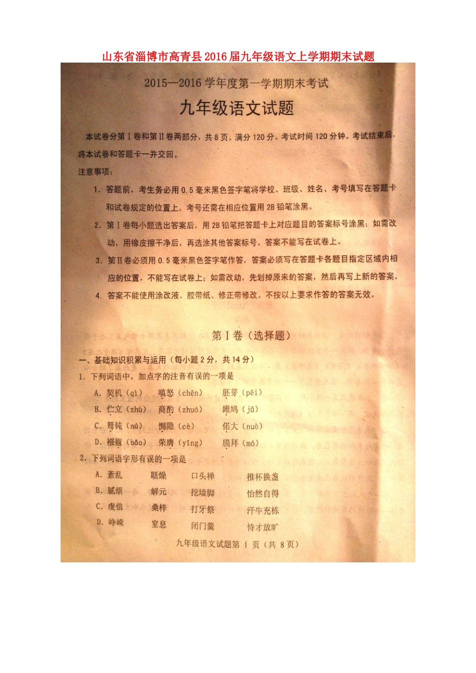 山东省淄博市高青县九年级语文上学期期末试卷(扫描版，无答案) 新人教版试卷_第1页