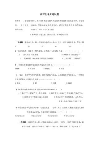 九年级化学月考试卷 人教新课标版试卷(00002)