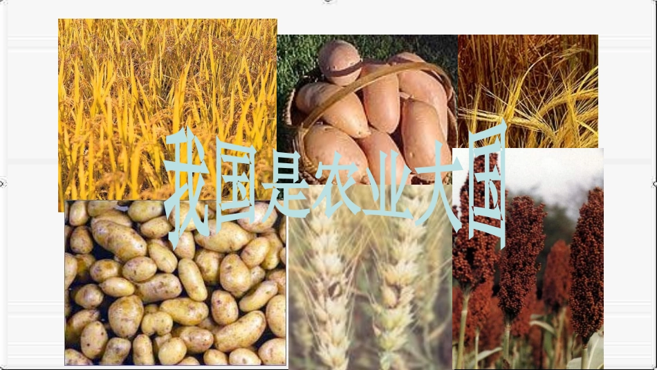 第1课-精耕细作农业生产模式的形成_第2页