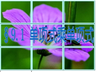 9.1单项式乘单项式-(3)