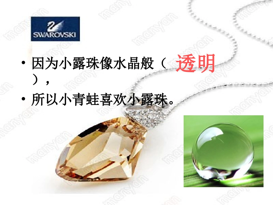 15小露珠第二课时_第2页