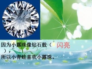 15小露珠第二课时