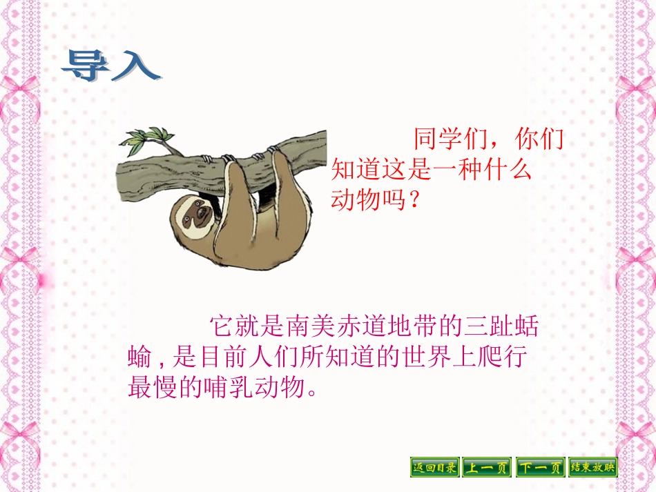 爬行最慢的哺乳动物_第2页