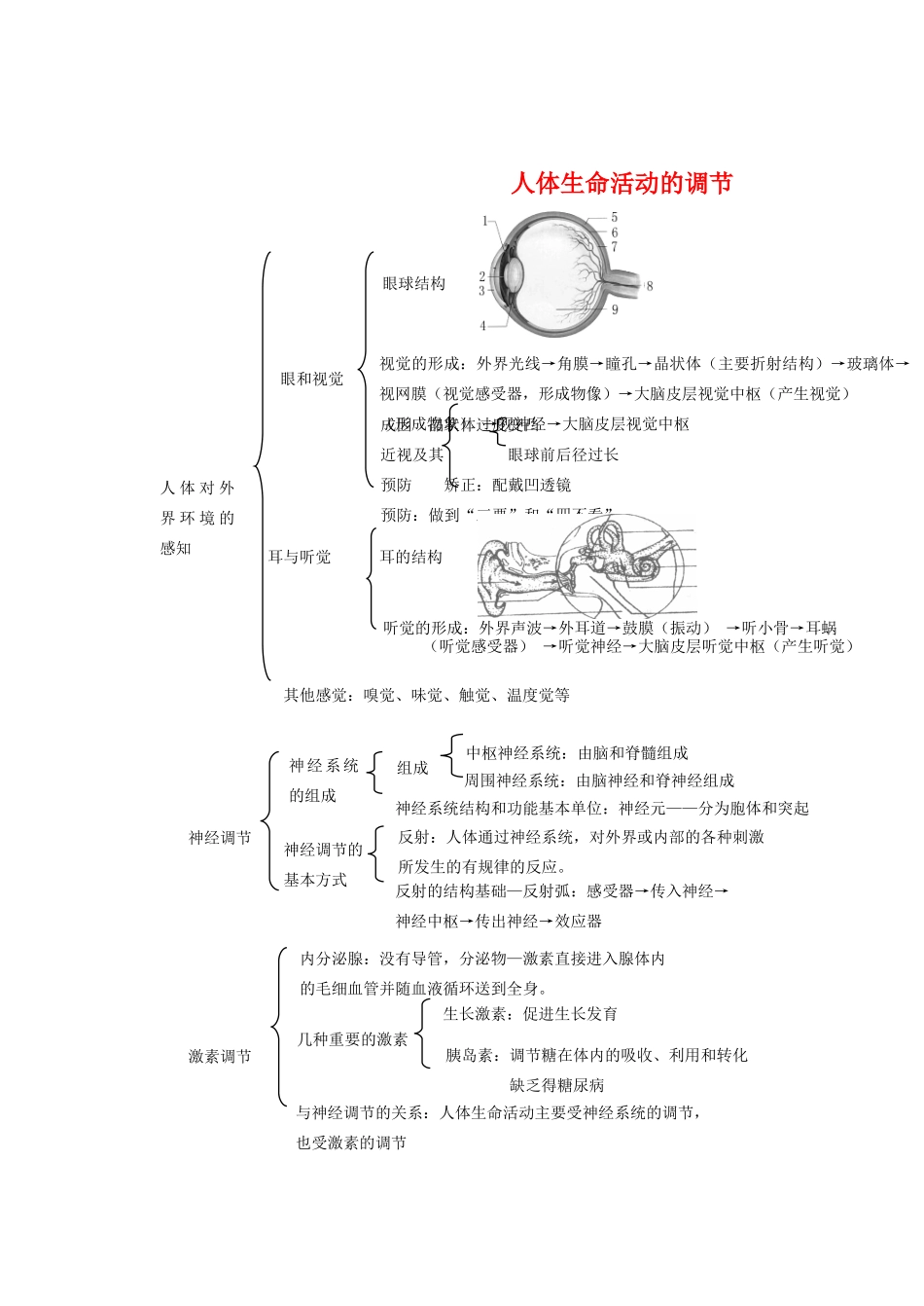中考生物 人体生命活动的调节同步测试试卷_第1页