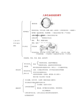 中考生物 人体生命活动的调节同步测试试卷