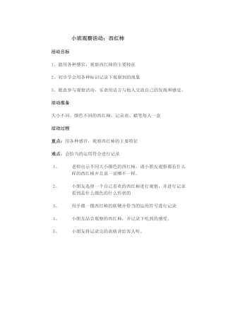 小班观察活动：西红柿