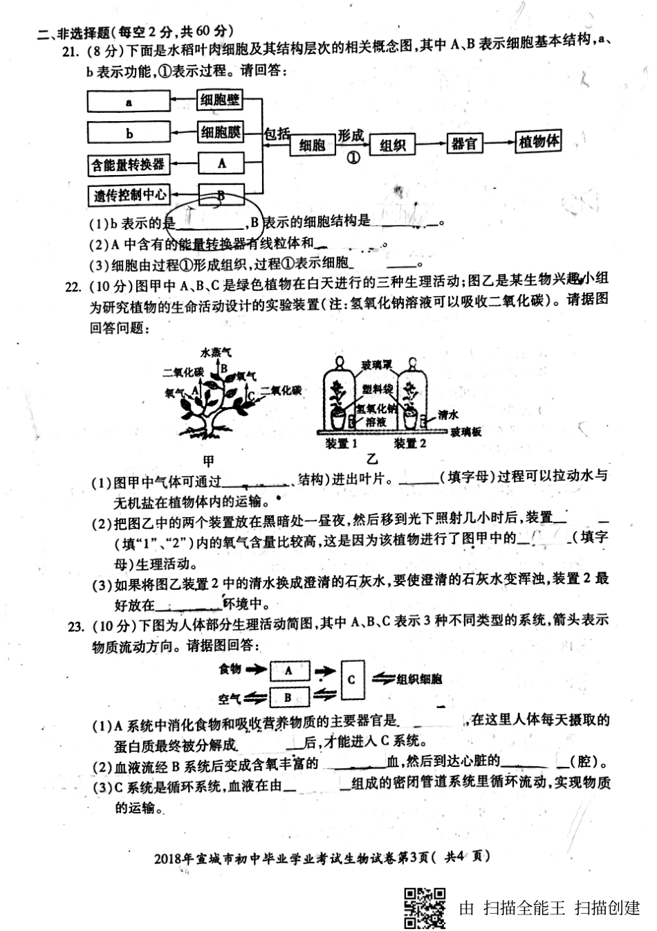 安徽省宣城市 八年级生物上学期期末素质调研测试试卷(pdf，无答案) 新人教版试卷_第3页