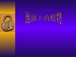 第1节地面上的植物-(2)