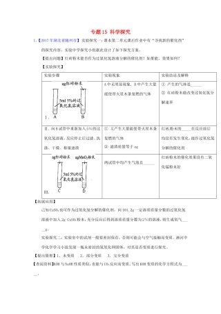 决胜中考化学压轴题揭秘 专题15 科学探究(中考题，无答案) 试题