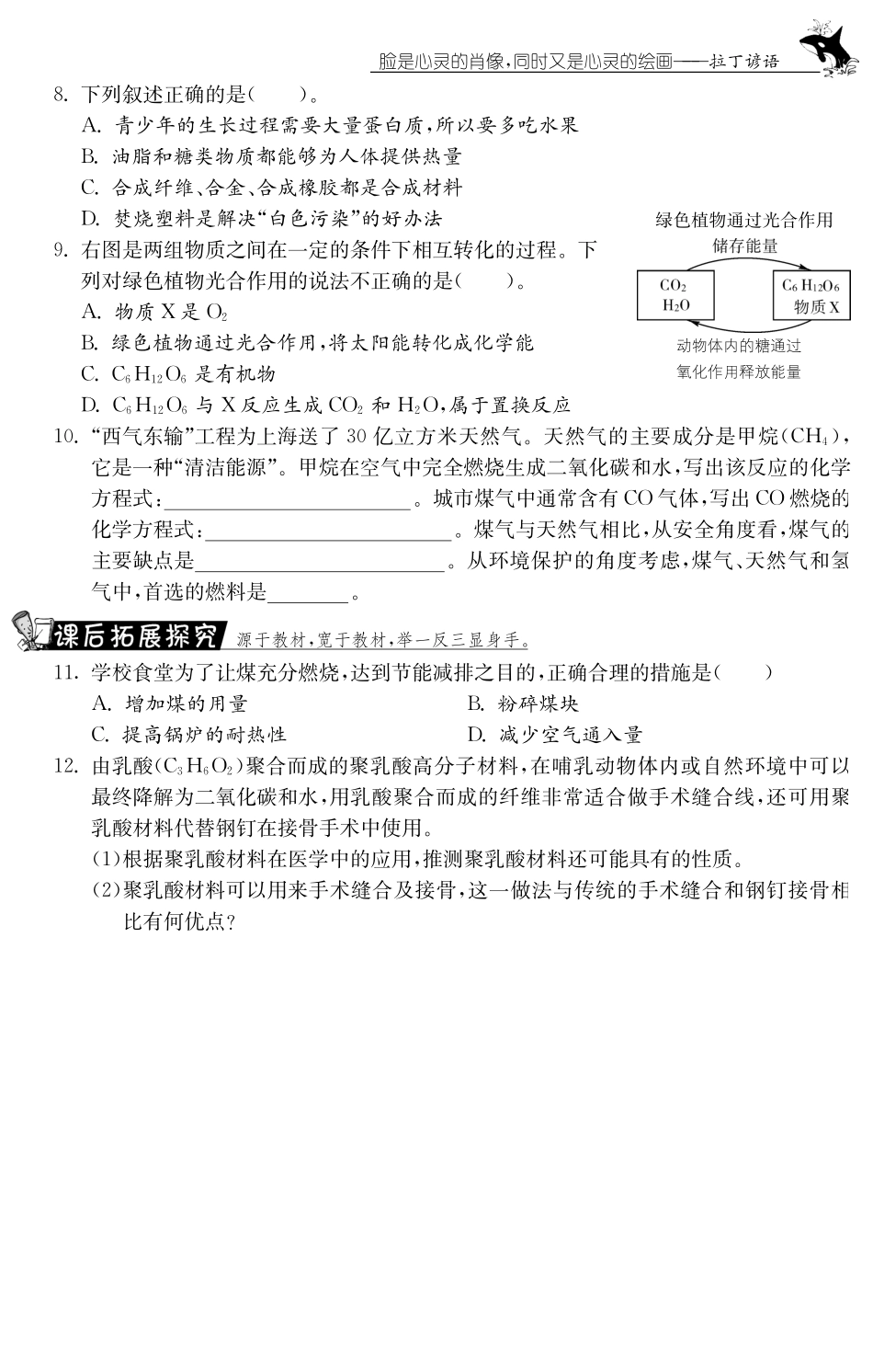 九年级化学全册 专题四 化学与能源和资源的利用合成材料测试卷(课前自主梳理课堂合作研习课后拓展探究，pdf)(新版)鲁教版试卷_第2页