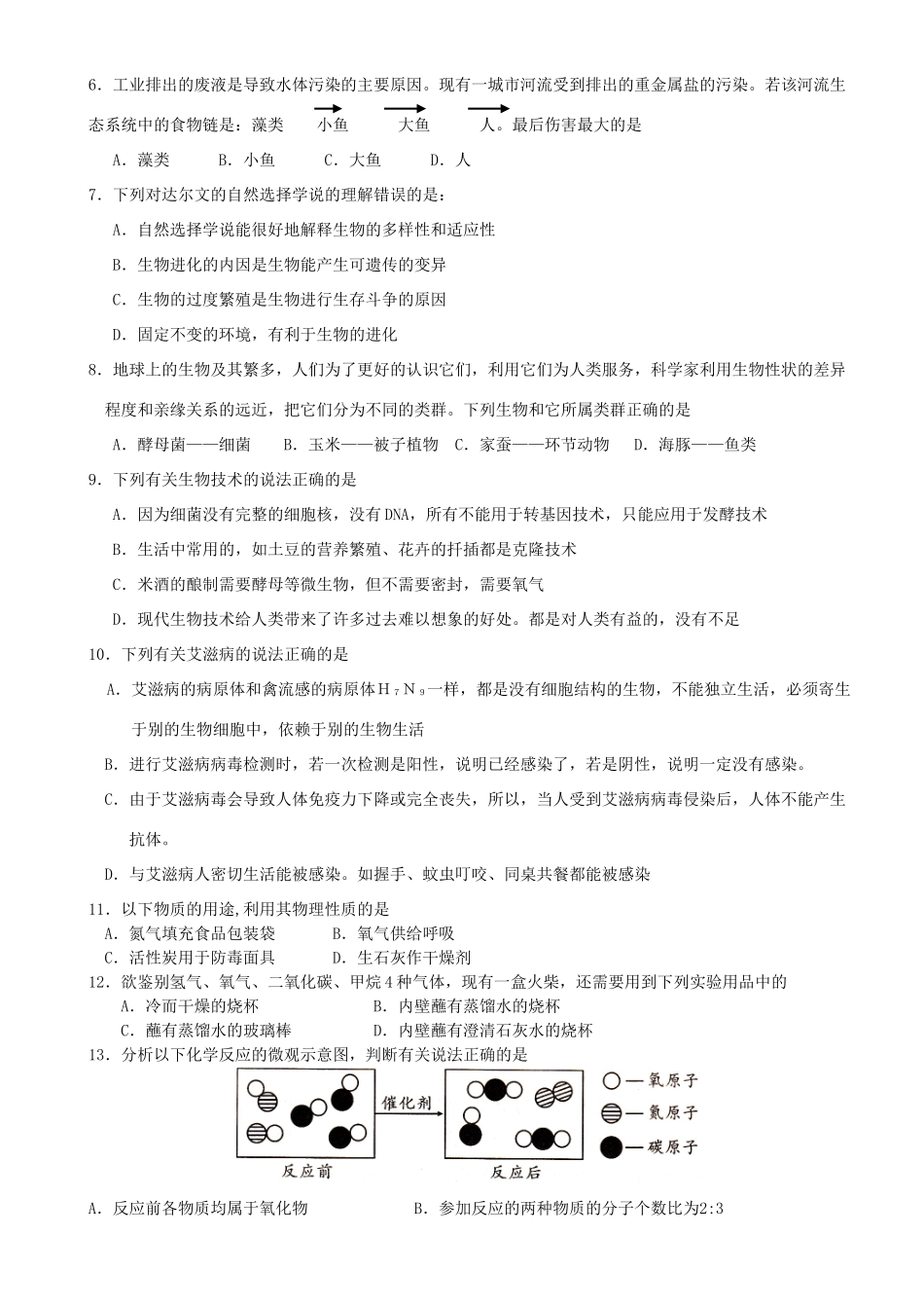 九年级化学6月月考试卷 新人教版试卷_第2页