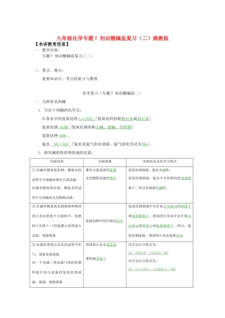 九年级化学专题7 初识酸碱盐复习(二)湘教版知识精讲试卷