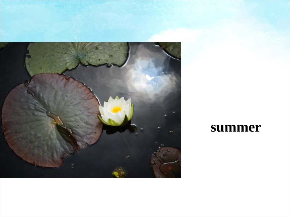 Unit-2-Spring-is-warm---季节_第3页